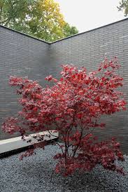 Nieberg I Architect Atelieraxelnieberg Hannover Architekten Baunetz Architekten Profil Baunetz De Jardinagem