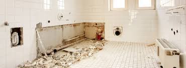 L'aggiunta della vasca con sportello apribile, la sostituzione del lavabo per inserire la sedia a rotelle, l'introduzione di una porta scorrevole, ricadono tra questo tipo di interventi. Come Fare Una Ristrutturazione Vasca Da Bagno Vascapoint