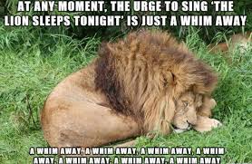 Near The Village The Peaceful Village The Lion Sleeps Tonight The Lion Sleeps Tonight Funny Lion Funny Animal Memes