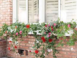 A long, but narrow planter box constructed out of 2x4s. 9 Diy Window Box Ideas For Your Home