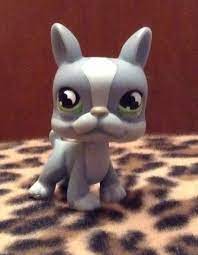 Training boston terriers, which includes my advice on respect training, housebreaking, and there's an adorable boston terrier puppy at the pet shop. Lps Boston Terrier Lps Littlest Pet Shop Littlest Pet Shop Little Pet Shop