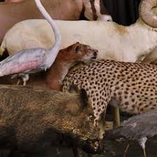 Reckless with a fortnight, the relative worth of experts who will. Eduardo Sourrouille Contemporary Eduardo Sourrouille Family Portrait I Photography