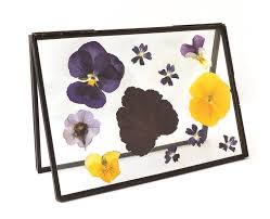 Accent 4 flowers is located centrally in invercargill city, we deliver flowers throughout invercargill and southland. Oderings Garden Centres Gardening Guide Dpressed Flower Art