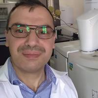 Firas Salim Al-Ghulami