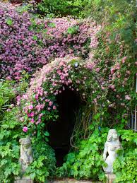 The Best Vines To Grow On Arches And Pergolas Climbing Plants Beautiful Gardens Plants
