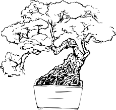 Free Image On Pixabay Bonsai Tree Line Art Japanese Line Art Bonsai Bonsai Tree
