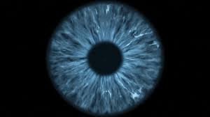 A pupil is one under the close supervision of a teacher, either because of youth or of. Pupil Size Of Eyes Can Predict Death And Hospital Readmission In Heart Failure Patients