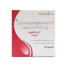 Image result for Amphotericin B