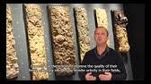 Schedule an appointment with the pros at metro guard termite & pest control. Exterminators Hurst Tx Metro Guard Termite Pest Control Youtube