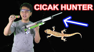 Bunuh cicak jika mengganggu saja. Alat Unik Pembasmi Cicak Berpahala Cicak Hunter Youtube