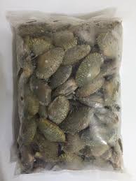 Mak cikmasak lambat sikit sbb tidur dulu. Lala Atau Siput Retak Seribu Hanya Rm12 Sahaja 1pek Sekilogram Banyak Minimum 2 Pek Atau Digabungkan Bersekali Dgn Mana2 Jenis Siput Yg Lain Untuk Order Hubungi Telur Sotong Seri Kembangan Puchong