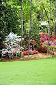 Pin On Landscaping Ideas
