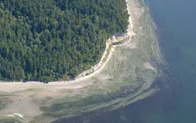 Due to past land use, the existing trail system includes a network of two track roads and. These Parks Are State Secrets