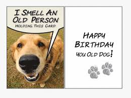 I Smell An Old Person Class Happy Birthday Old Dog Hd Png Download Kindpng