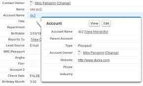 Simplysfdc Com Salesforce Customize Mouse Hover Lookup