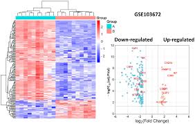 Image result for bioinformatics heatmap