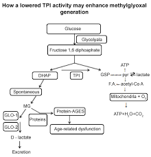 Activity Induced Deamidation Of Triose Phosphate Isomerase May Explain The Deleterious Effects Of Excessive Glucose Consumption Clinmed International Library International Journal Of Diabetes And Clinical Research