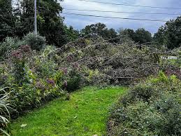 robert clyde anderson