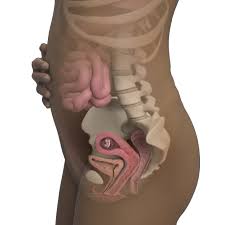 10 Weeks Pregnant Symptoms Belly Baby Size More Babycenter