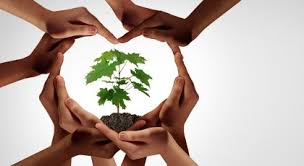16:17 الهيئة الملكية تشارك في يوم الأرض العالمي. Ø§Ù„Ù…Ø´Ø§Ø¹Ù„ Ù…Ù„Ø²Ù…Ø© Ø¯Ø§ÙØ¦ ÙØ¹Ø§Ù„ÙŠØ§Øª ÙŠÙˆÙ… Ø§Ù„Ø§Ø±Ø¶ Ø§Ù„Ø¹Ø§Ù„Ù…ÙŠ Pleasantgroveumc Net