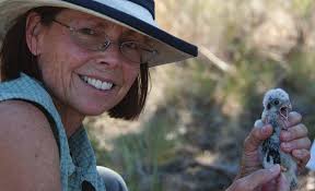 The Peregrine Fund 2017 Annual Report