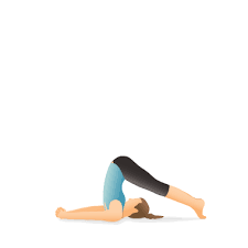Yoga Pose Plow Yoga Poses Yoga Information Yoga Illustration