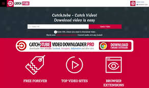 Some are better for capturing video and playing it back than others. How To Rip Video From Website 15 Ways Screen Capture