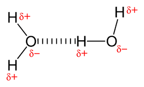 Hydrogen Bonding | Chemistry For Non-Majors | | Course Hero