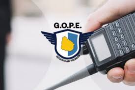 Elizabeth Trindade Archives