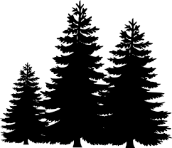 Pine Tree Silhouette Clip Art Cliparts Co Pine Tree Silhouette Silhouette Clip Art Forest Silhouette