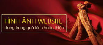 So sánh cơ bản nhân sâm tươi và hồng sâm sấy khô Hàn Quốc