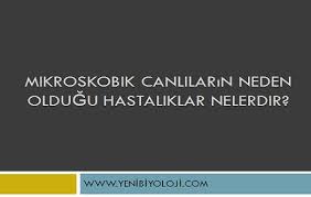 Mikroskobik Canlilarin Neden Oldugu Hastaliklar Nelerdir Komik Fikralar Biyoloji Komik