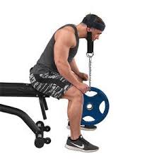 Extend your elbows by flexing your triceps until your arms are straight. Weight Machines Strength Training Equipment Fitness Factory