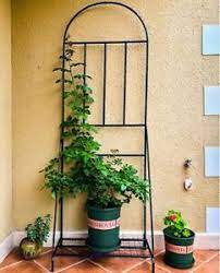 Wordpress development and production servers done right. Pot Plant Stand With Base And Climbing Frame Support Trellis Ebay