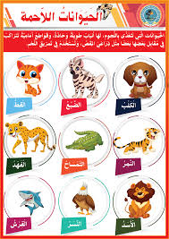 الحيوانات اللاحمة Arabic Kids Learning Arabic Arabic Language