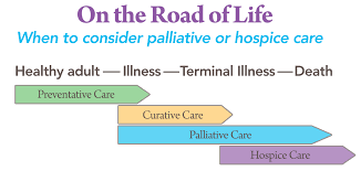 Therapy Dogs Offer Comfort and Connection
