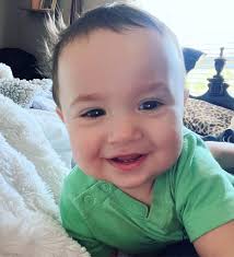 Serious question..anyone have some cows? 😅My chunky baby will be one next  month and I wanted to do a sunflower and cow theme. Sure,I can pull over