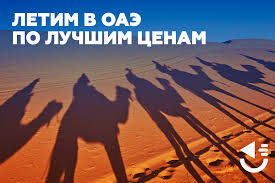 Лучшие