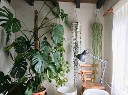 1) grow plants throughout the cold winter and get a leg up on spring vegetable plants. Grow Lights For Happy Houseplants Houseplanthouse