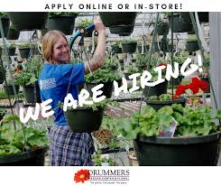 We Are Hiring For Cashier Shrub Lot And Greenhouse Positions Apply In Person Or Online On Indeed Or Our Website Drummersgarde Garden Center Shrubs Floral