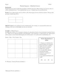 Creating a punnett square requires knowledge of the genetic composition of the parents. Punnett Squares Dihybrid Crosses Ws Pdf 2 Mendelian Genetics Worksheet Dihybrid Cross Problems Pdf Document