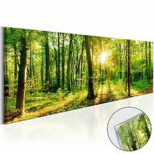Beispielsweise können sie größe und format auswählen. Xxl Bild Wandbild Leinwandbild Kunstdruck F06296 Wald Natur Baum Wald Wasser
