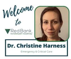 Red Bank Veterinary Hospital