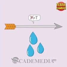 Check spelling or type a new query. Kunci Jawaban Tebak Gambar Level 5 Nomor 1 20 Beserta Gambarnya Lengkap Cademedia