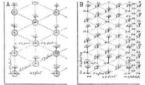 Maybe you would like to learn more about one of these? What Are The Costs Of Growing Fruit Trees