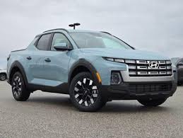 Image result for Blue Stone 2022 Santa Cruz