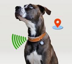 This Smart Dog Collar Has Gps Tracking And An Activity Monitor Dog Gps Smart Dog Dog Supplies