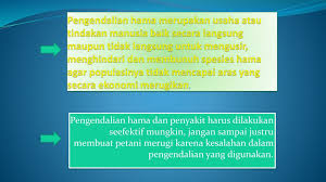 Download buku agribisnis ternak unggas petelur kelas 11. Modul 1 Agribisnis Tanaman Pangan Dan Hortikultura Ppt Download