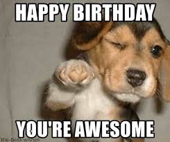 Pin By Patty Raasch On Birthday Pictures Funny Dog Memes Cheer Up Funny Dog Memes