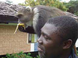 Day Trip to the Equator and Mount Kenya Region, Part 1